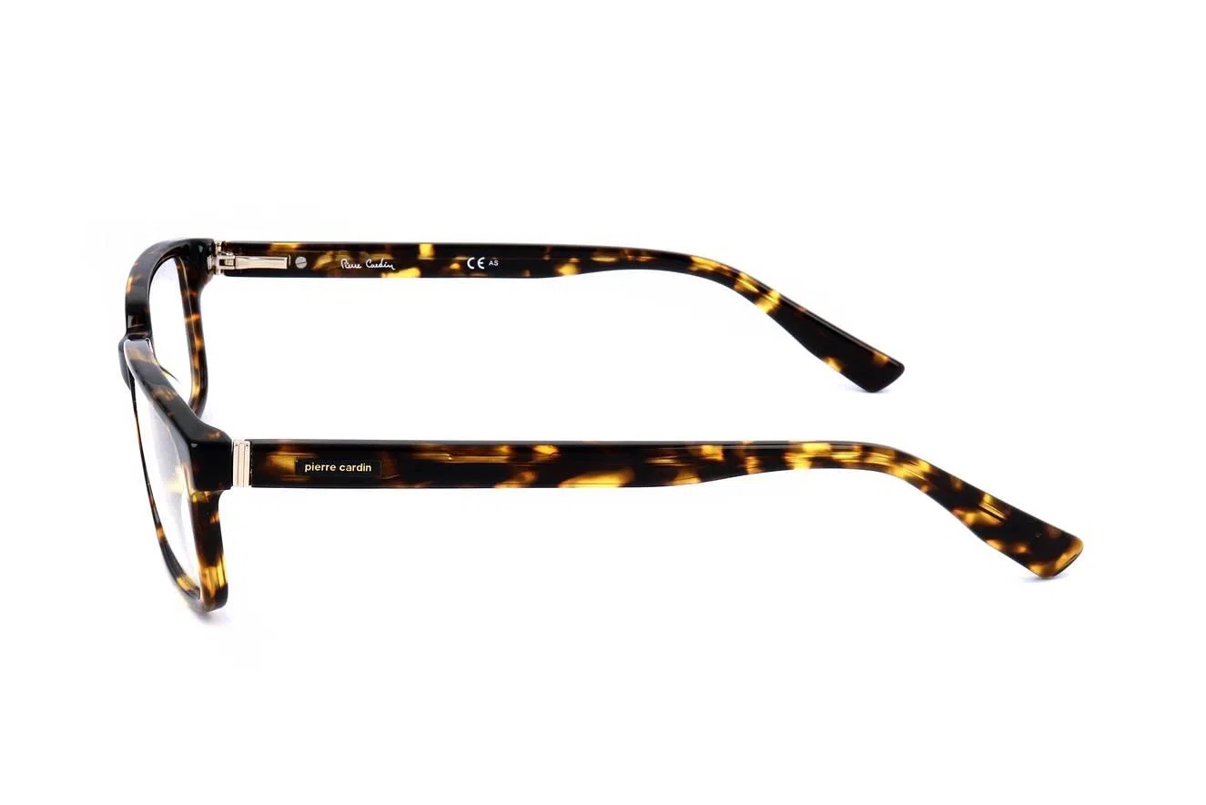 Pierre Cardin PC6162 Eyeglasses - view 4